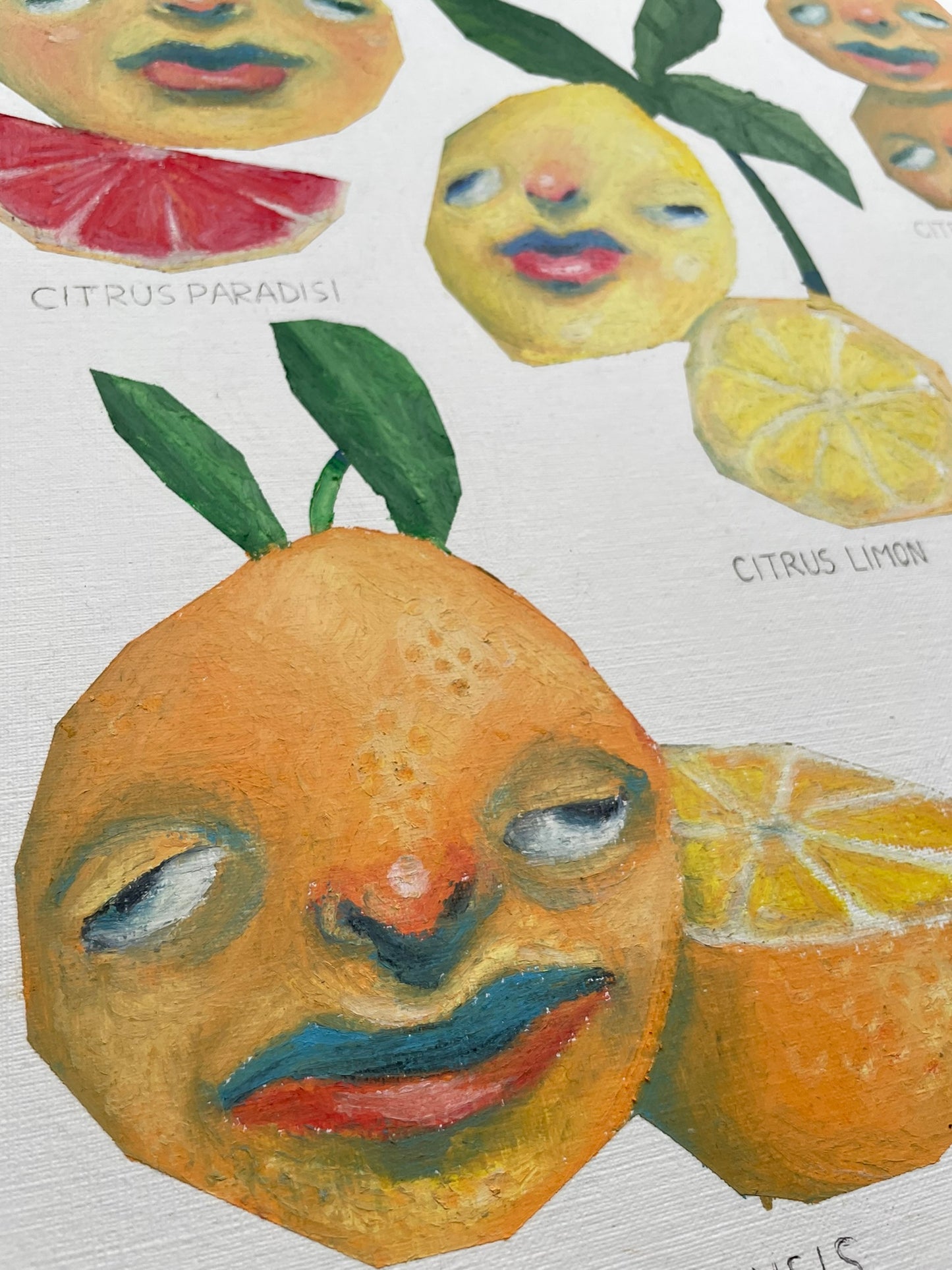 PREORDER - Citrus poster
