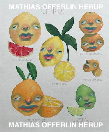 PREORDER - Citrus poster – Mathias Offerlin Herup